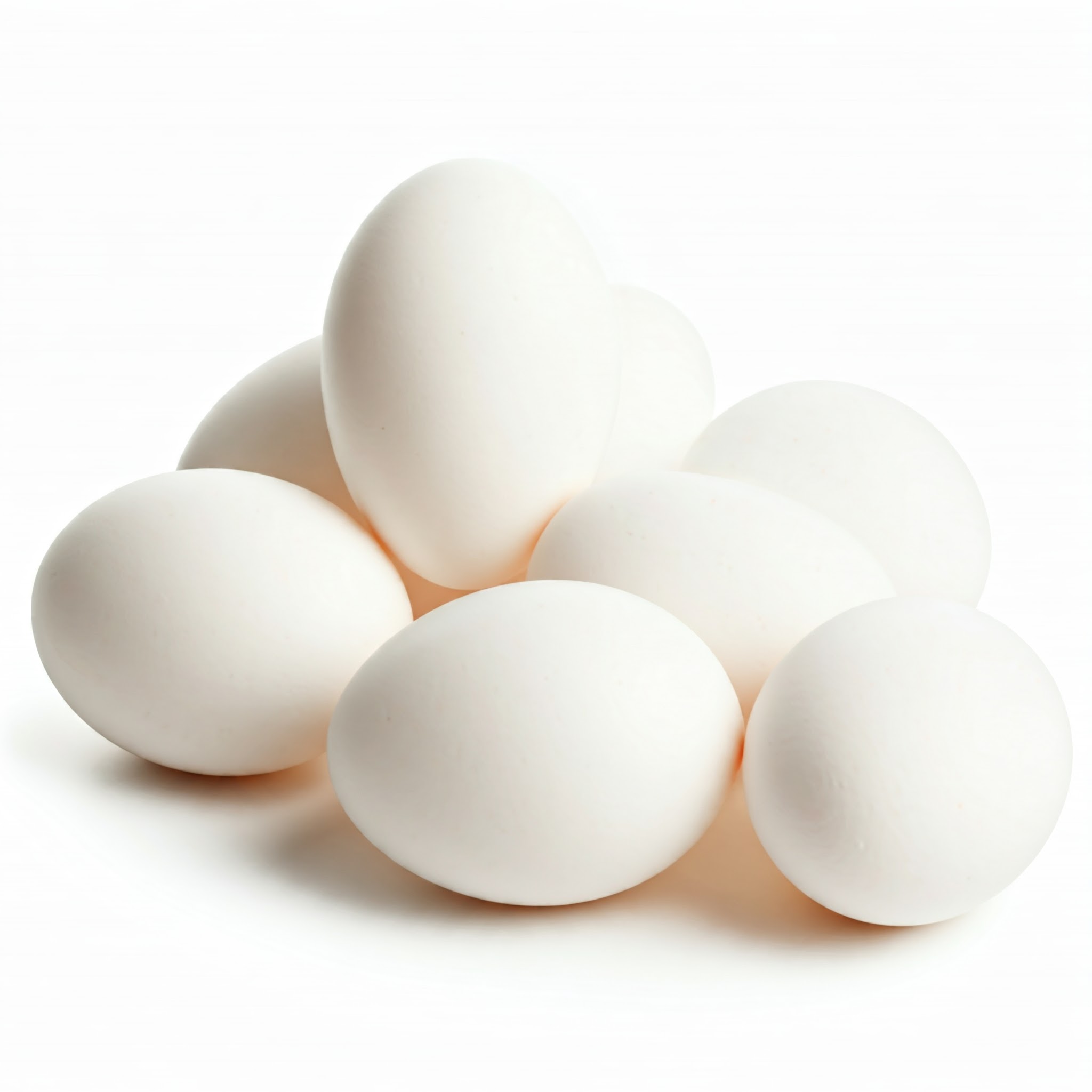 Gemini_Generated_Image_hh51f4hh51f4hh51