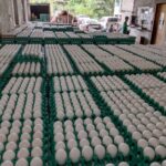 0-02-06-0ddd539c44510119c80271919788f6ed0e7cba8225ff2eef1239752e4c70839c_22da9c974fb49eb2