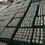 0-02-06-2310b85ffb9562114e996d48f2218963e170fe665227ab1ec29776b7438ef063_8e82d6f62e48bf28