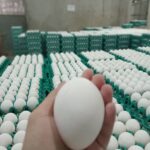 0-02-06-35a447aed2f0de8bd278039cb39219012d9df6786c4ecec0340abcb9c31170b7_5c6d7fcd27e9e25e