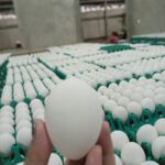 0-02-06-412eb55cefcda7abdb1900f6ea4f5e082fb02ce338ab98c0bfa0d98035dee047_b721fab535d8b807