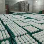 0-02-06-416000c56a3ded847f406871a792a48a8698aacee68950309bf0189182be00da_3fe36eb8dbca2627