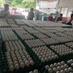 0-02-06-646ee9a567245b3216eb5aed012c7d982ecfadb066eee3976ffdc9ddc9985df9_6139bc1c216c2f27