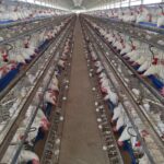 0-02-06-96c1d8fc2ad15d4362d23e6c561773761a11d2e56d2942f8977f6ceae2b4a175_658f549754db8fd3