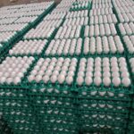 0-02-06-9b21cc8b0a93511e2eea672e73ee1bf9edc3fa142276d0e8143199d7ad7fb2df_875d23b1e5ab6d82