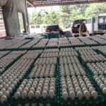 0-02-06-d2aba7f8cceb3d6f058a459517e55018124020a2f9a67cc35eec9a70924d0022_7e95c0066b39523d