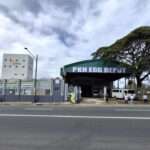 Fresh Farm Eggs | PKH Poultry Farm 1b