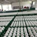 Fresh Farm Eggs | PKH Poultry Farm 2b