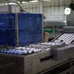 Fresh Farm Eggs | PKH Poultry Farm viber_image_2026-02-28_17-13-17-719