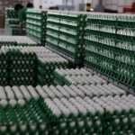 Fresh Farm Eggs | PKH Poultry Farm viber_image_2026-02-28_17-17-43-652