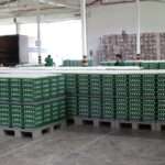 Fresh Farm Eggs | PKH Poultry Farm viber_image_2026-02-28_17-20-31-750