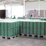 Fresh Farm Eggs | PKH Poultry Farm viber_image_2026-02-28_17-21-08-487