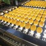 Fresh Farm Eggs | PKH Poultry Farm viber_image_2026-03-02_12-49-50-474